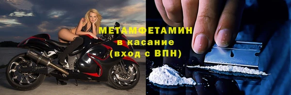 индика Горняк