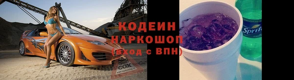 шишки Горно-Алтайск