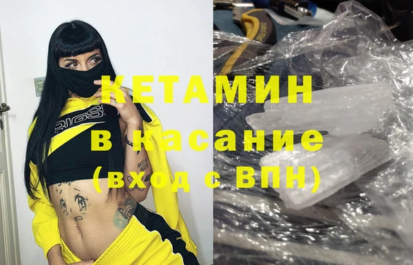 индика Горняк