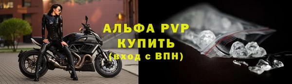 шишки Горно-Алтайск