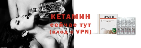 индика Горняк