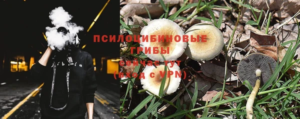шишки Горно-Алтайск