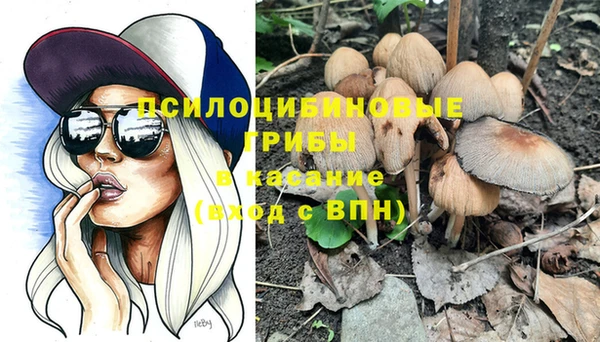 индика Горняк