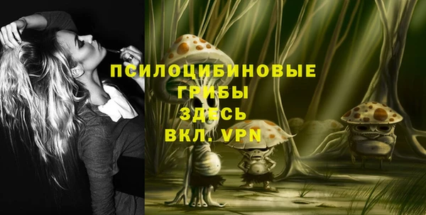 шишки Горно-Алтайск