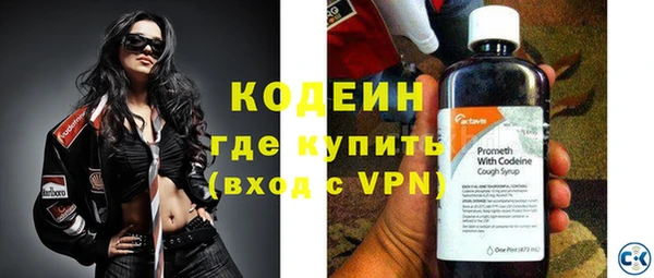 индика Горняк