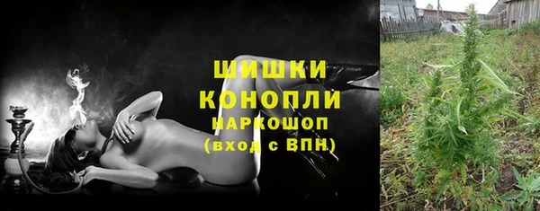 эйфоретик Гусев