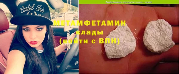 индика Горняк