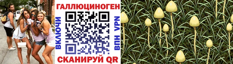 Галлюциногенные грибы мицелий  цена наркотик  Мостовской 